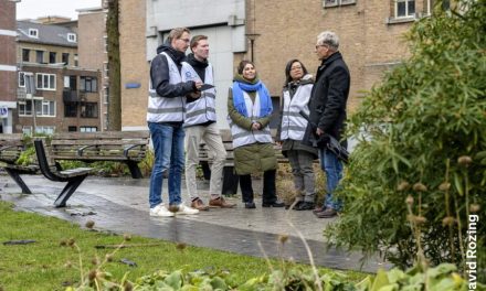 De Rekenkamer onderzoekt het groen in de wijk Kralingen