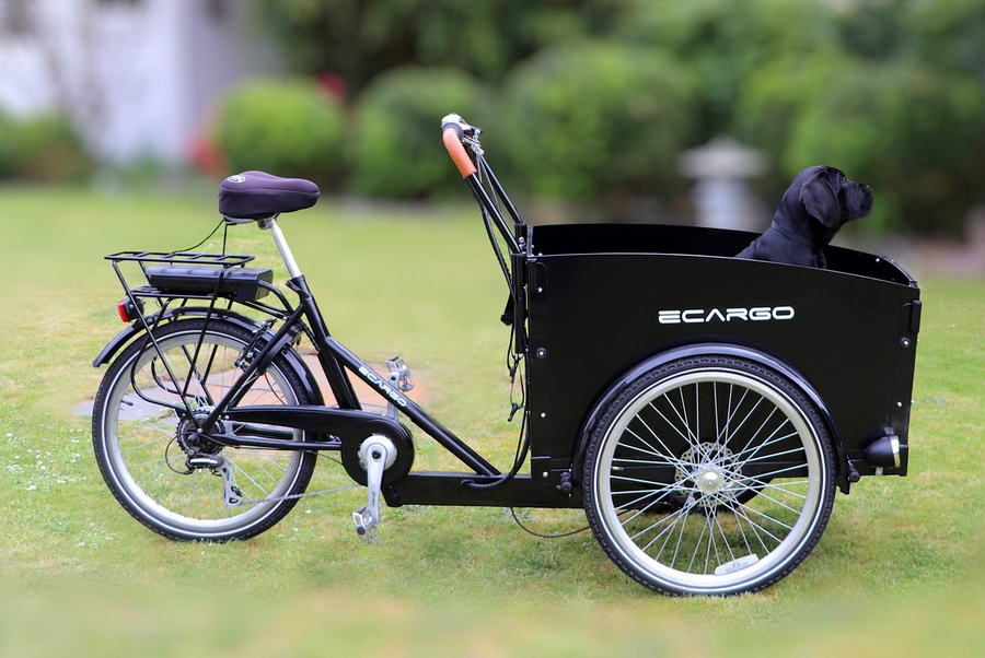 Gratis bakfiets lenen kan nu ook in Kralingen