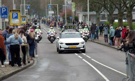 Marathon Rotterdam, Kralingse Plaslaan op en neer