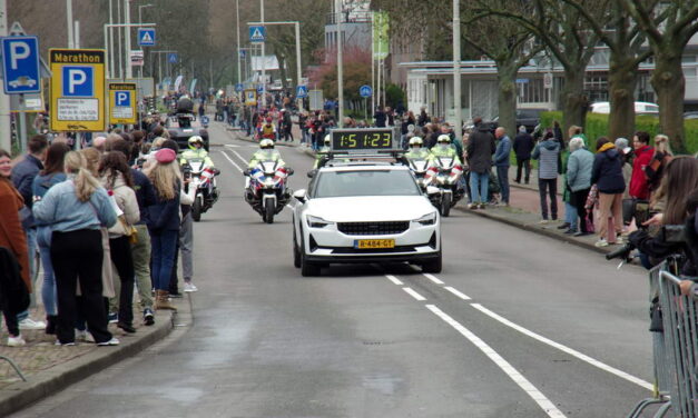 Marathon Rotterdam, Kralingse Plaslaan op en neer