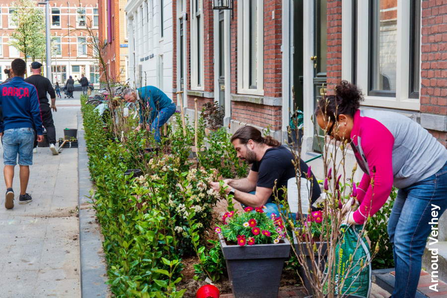 Nieuw: de Kralingse geveltuinenwedstrijd