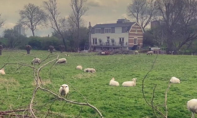 Chemisch afval maakte van de Eschpolder een criminele verzamelplek, maar ook een natuurgebied