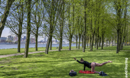 De Oude Plantage: Een park vol verhalen – en 1 mysterie