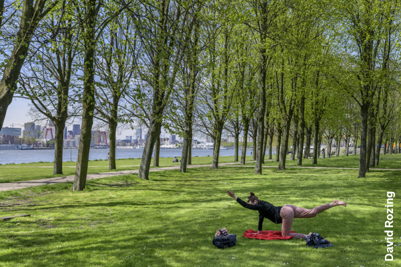 De Oude Plantage: Een park vol verhalen – en 1 mysterie