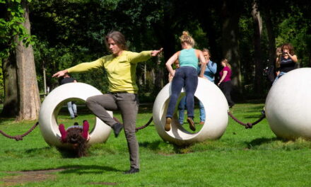 Dansen in Het Park Murikamification