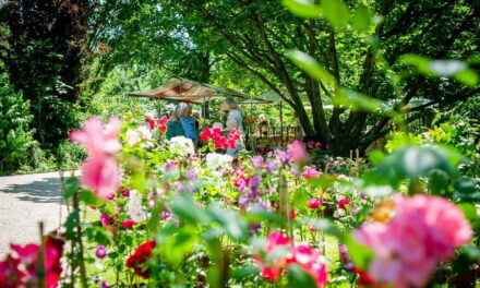 Trompenburg plantenmarkt 6 en 7 mei