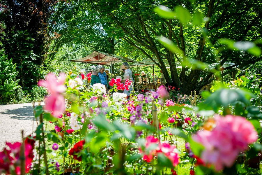 Trompenburg plantenmarkt 6 en 7 mei