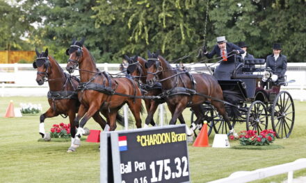 Demonstratie vierspan paarden op het CHIO