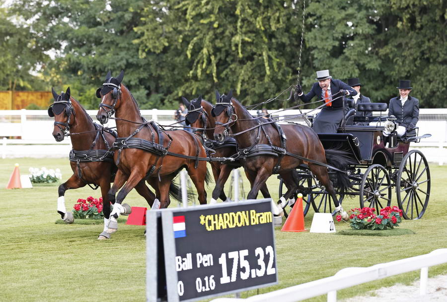 Demonstratie vierspan paarden op het CHIO