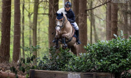Working Equitation en TREC demonstratie op CHIO Rotterdam