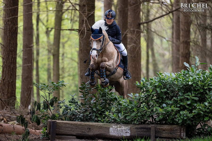 Working Equitation en TREC demonstratie op CHIO Rotterdam