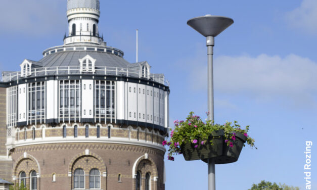 Bloemen op hoogte in De Esch en Crooswijk