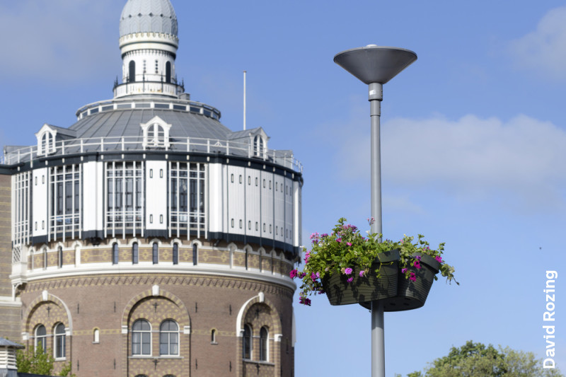 Bloemen op hoogte in De Esch en Crooswijk