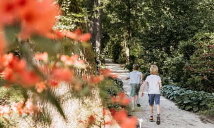 Trompenburg tuinen: ontsnap aan de warmte óf aan de drukte van de stad