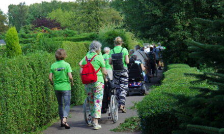 Vrijwilligerswinkel: evenementen zomer 2024
