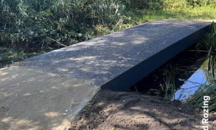 Brug van plantenafval en plastic in het Kralingse Bos