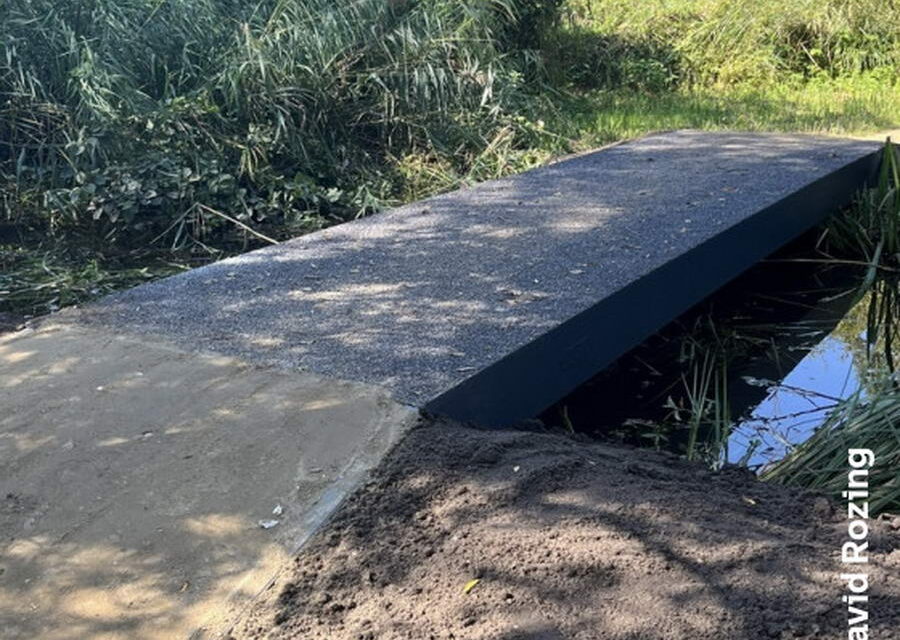 Brug van plantenafval en plastic in het Kralingse Bos