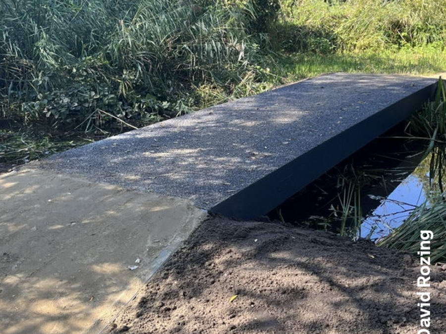 Brug van plantenafval en plastic in het Kralingse Bos