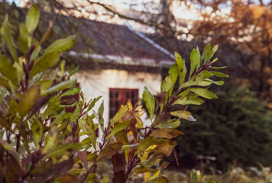 Open Monumentendag in de tuin