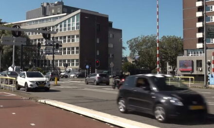 6 jaar cel en tbs voor doodrijden bejaard stel Maasboulevard