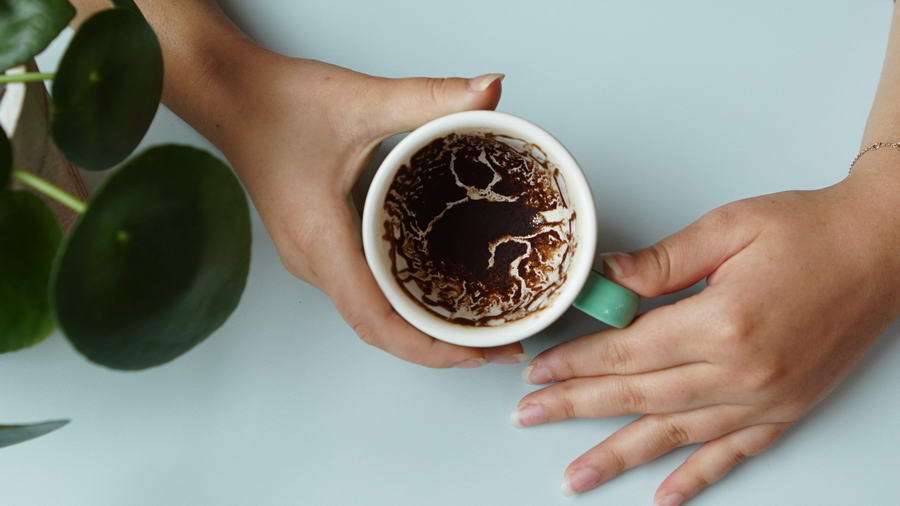 Kopje koffie op terras in Rotterdam veel duurder door klimaatverandering?