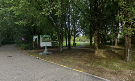 Oude Plantagedreef wordt groener