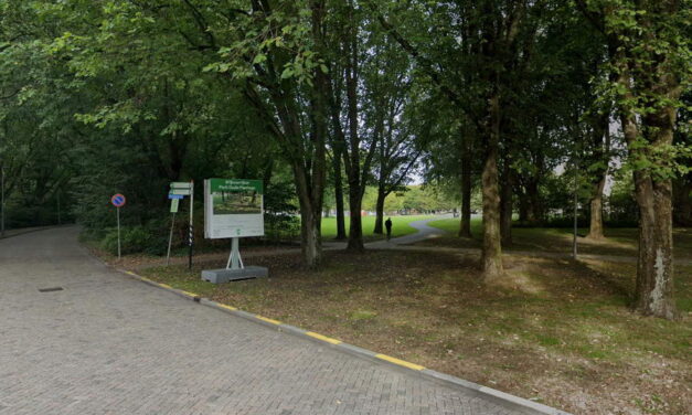 Oude Plantagedreef wordt groener