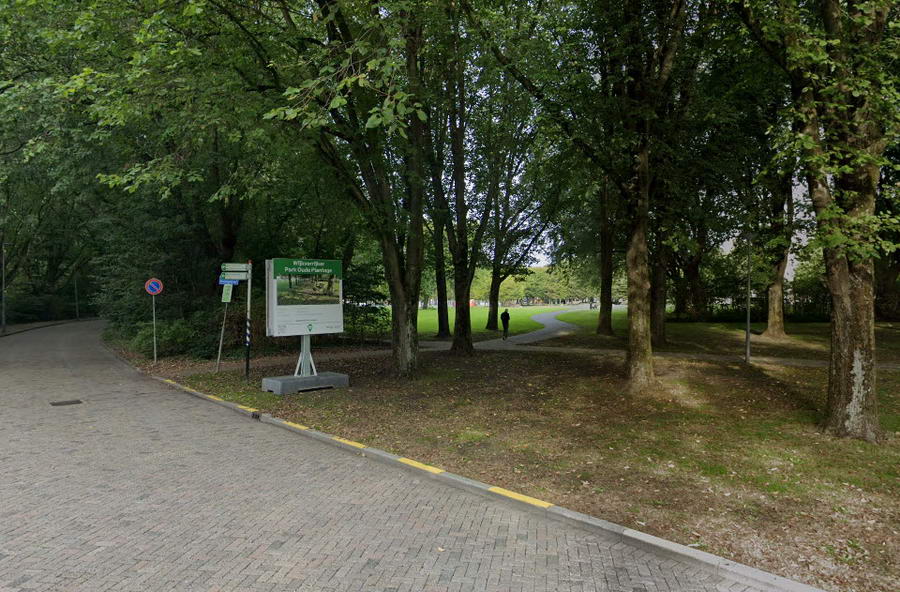 Oude Plantagedreef wordt groener