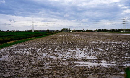 Gemalen draaien op volle toeren in kleddernat jaar 2023