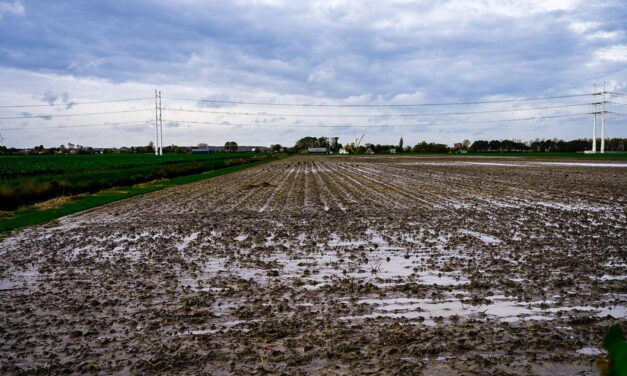 Gemalen draaien op volle toeren in kleddernat jaar 2023