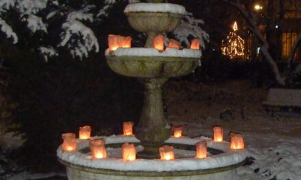 15 december: Lichtjesavond in de Botanische Tuin Kralingen