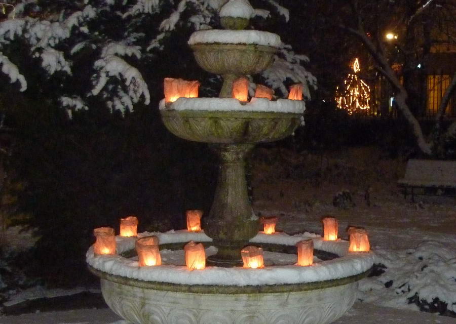 15 december: Lichtjesavond in de Botanische Tuin Kralingen