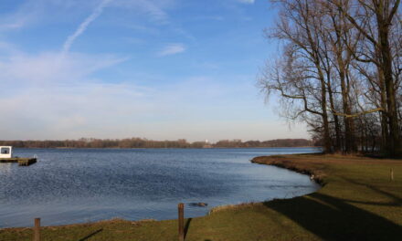 Blauwalg gevonden in de Kralingse Plas