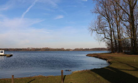 Gratis trainingsloop rond de Kralingse Plas voor recreatieve en beginnende hardlopers