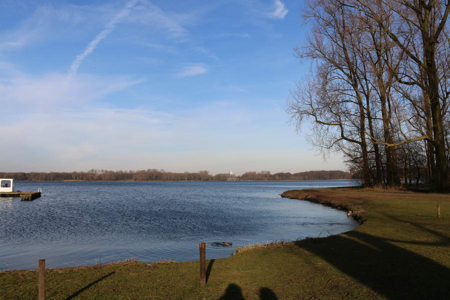 Blauwalg gevonden in de Kralingse Plas