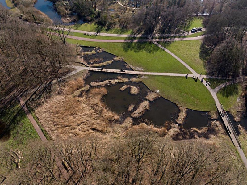 Werk aan de vistrap in Kralingse Bos