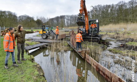 Extra treden voor Kralingse vistrap