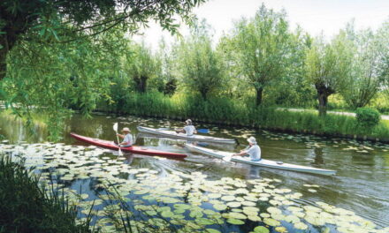 Hoogheemraadschap: gezond en schoon water