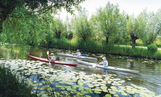 Hoogheemraadschap: gezond en schoon water