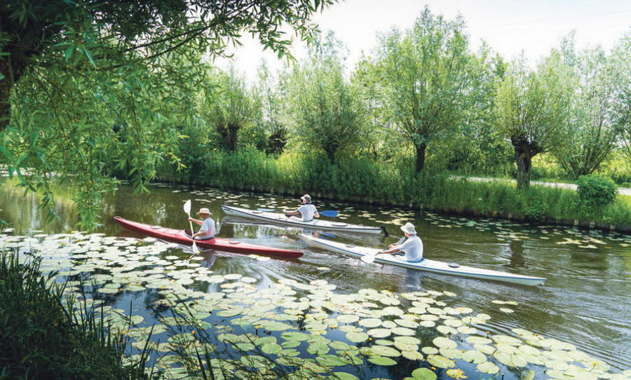 Hoogheemraadschap: gezond en schoon water