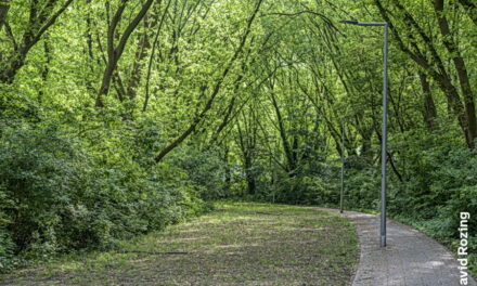 Nat weer zorgt voor vertraging Oude Plantage
