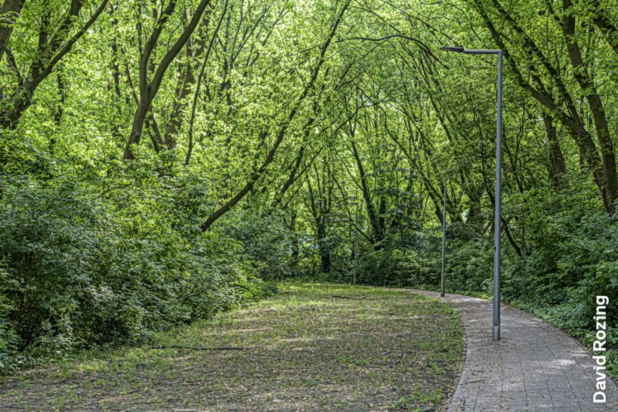 Nat weer zorgt voor vertraging Oude Plantage