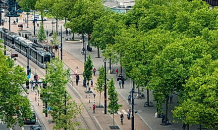 Rotterdam komt met verkeersplan voor veilige, leefbare wijken en betere doorstroming