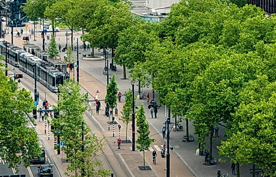 Rotterdam komt met verkeersplan voor veilige, leefbare wijken en betere doorstroming