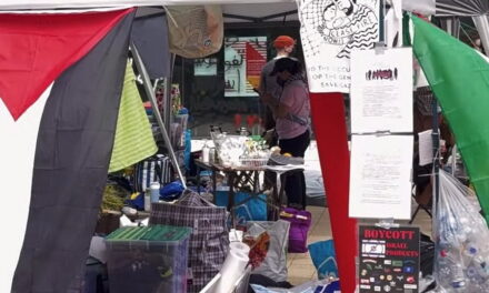 Pro-Palestina protest moet plaatsmaken voor ‘wellbeing’ festival’