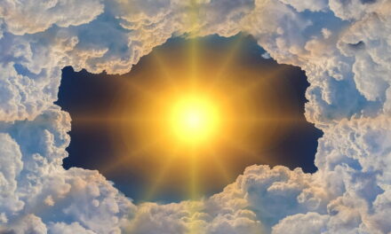 Smeer je in bij de gratis zonnebrandpalen van Rotterdam