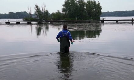 Hoe staat het met de waterkwaliteit Kralingse Plas?