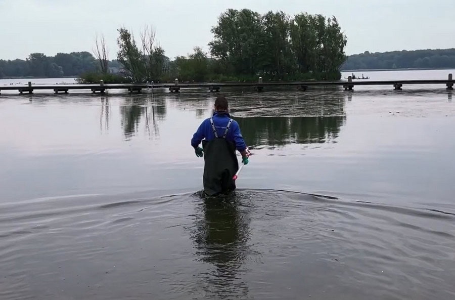 Hoe staat het met de waterkwaliteit Kralingse Plas?