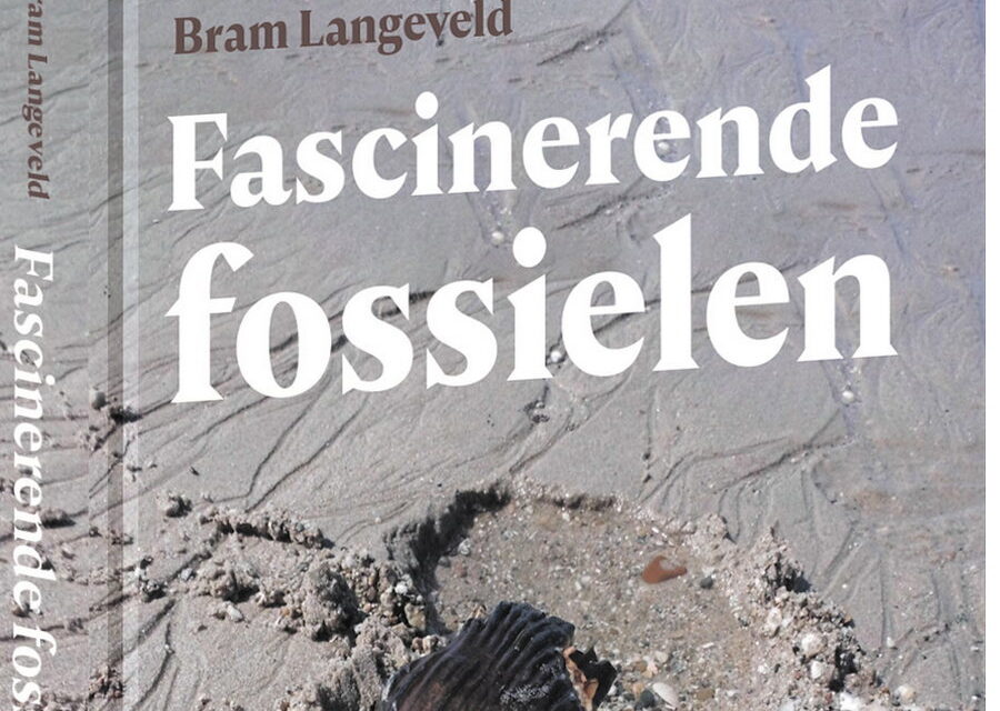 Het Natuur Café gaat verder in Het Natuurhistorisch