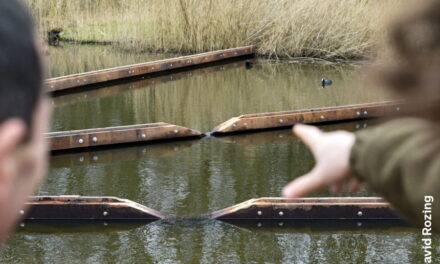 Met de batdetector op stap in het Kralingse Bos